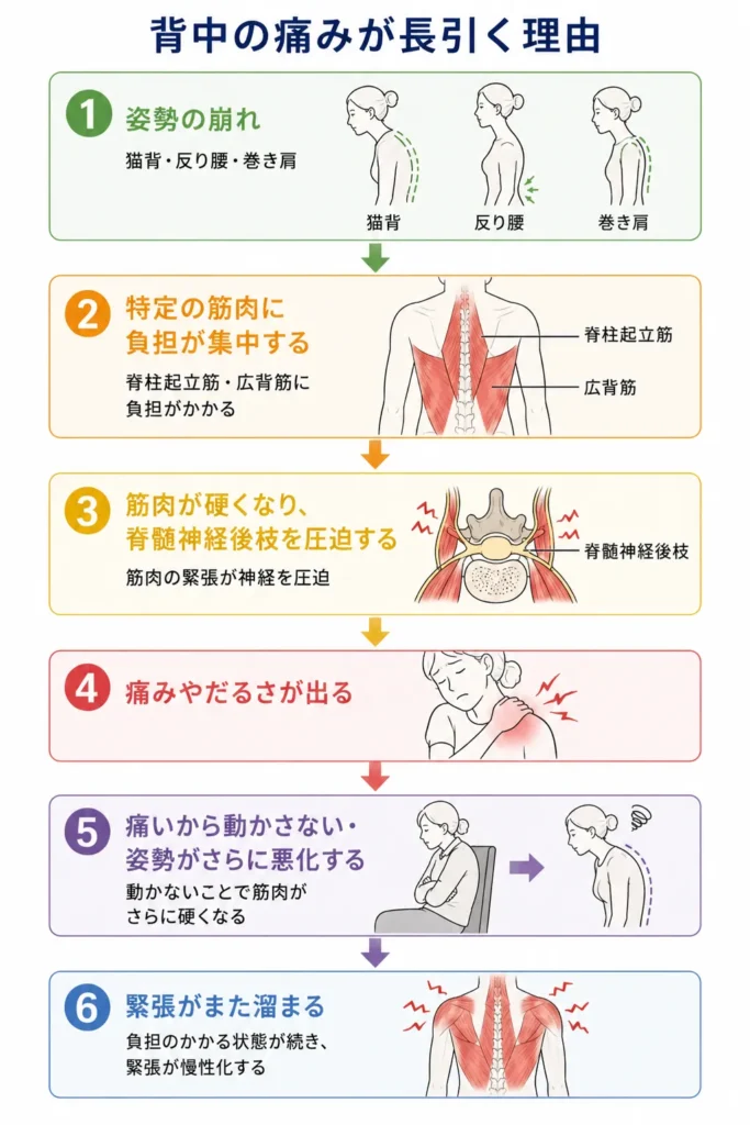 背中の痛みのい発生機序