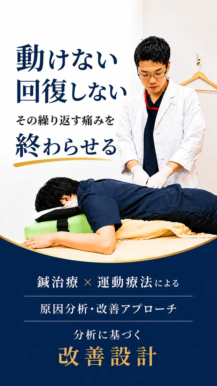 新潟すばる鍼灸・リハビリ整体|動けない、回復しない、くり返す痛みを終わらせる。鍼灸×運動療法、分析に基づく改善設計