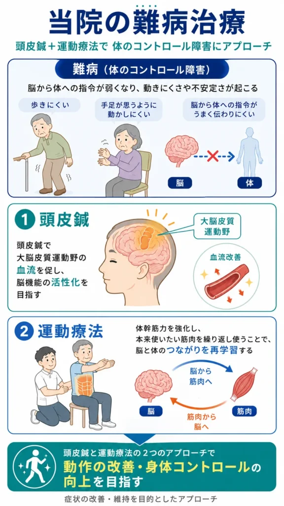 当院の難病治療 頭皮鍼+運動療法解説イラスト