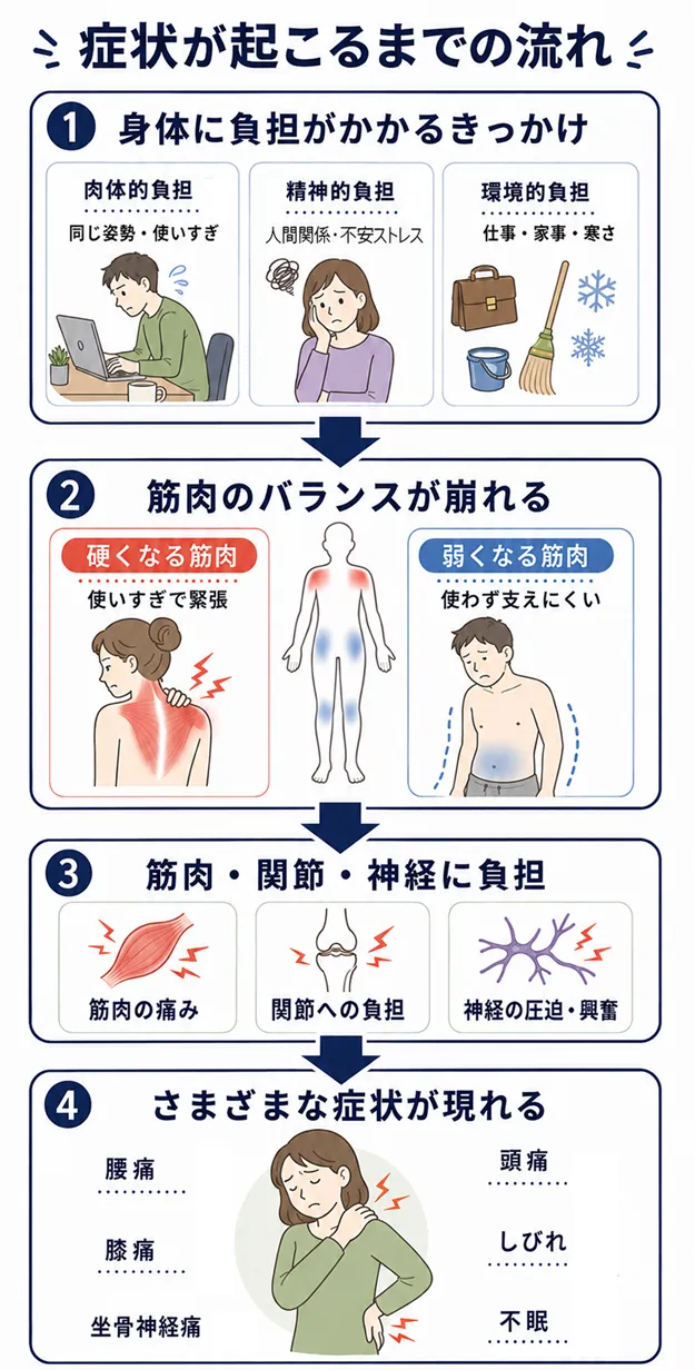 身体に負担がかかるきっかけ 肉体的負担 長時間同じ姿勢・運動不足・使いすぎ・ケガ 精神的負担 ストレス・不安・睡眠不足 環境的負担 仕事・家事・生活環境・寒さ ↓ 筋肉のバランスが崩れる 使いすぎる筋肉が硬くなる 使えていない筋肉が弱くなる ↓ 筋肉・関節・神経に負担がかかる 筋肉の緊張・痛み 関節に負担が集中 神経の圧迫や興奮 自律神経の働きが乱れる ↓ さまざまな症状が現れる 腰痛・膝痛・坐骨神経痛・頭痛・しびれ・不眠など
